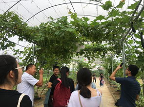 深化專業(yè)認(rèn)知，筑牢安全基石——記四年制高職本科食品質(zhì)量與安全專業(yè)農(nóng)產(chǎn)品安全生產(chǎn)認(rèn)知實(shí)習(xí)