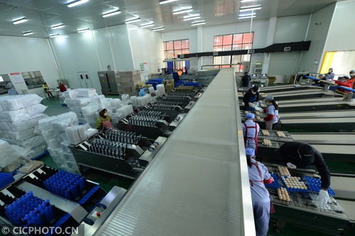 太倉農(nóng)產(chǎn)品生產(chǎn)穩(wěn)定，市場(chǎng)供應(yīng)有保障