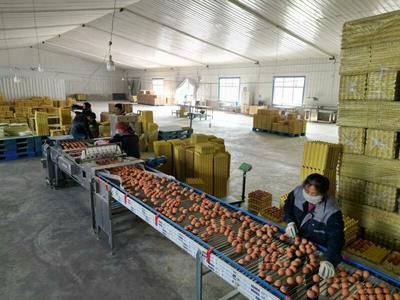 甘味農(nóng)產(chǎn)品企業(yè)商標(biāo)品牌與農(nóng)產(chǎn)品生產(chǎn)的協(xié)同發(fā)展