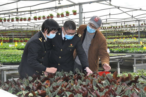 廣州農(nóng)產(chǎn)品原材料進(jìn)出口雙順暢，為農(nóng)業(yè)生產(chǎn)注入新活力