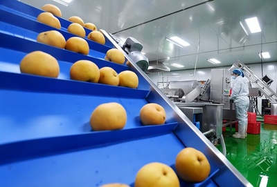 河北晉州 以農(nóng)產(chǎn)品深加工為引擎，激活縣域經(jīng)濟(jì)發(fā)展新動(dòng)能